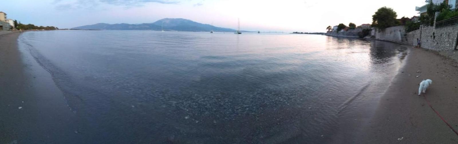 The Cozy Seaside Apartment Nafpaktos Dış mekan fotoğraf